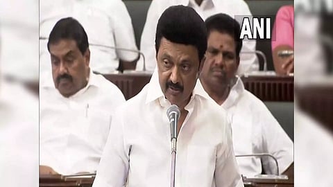 MK Stalin (Photo: ANI)
