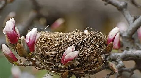 Representative image (Picture credit:ANI)