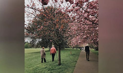 Representative image (Photo: ANI)