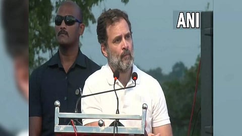 Congress leader Rahul Gandhi (Photo: ANI)