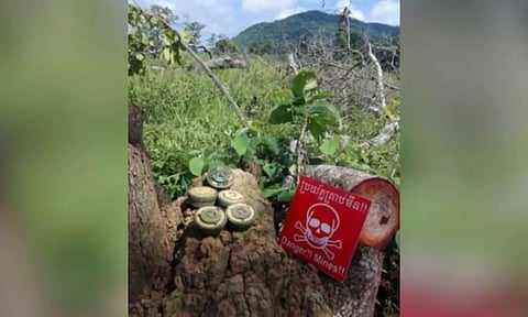 Representative image