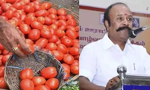 Tomato; minister Periyakaruppan