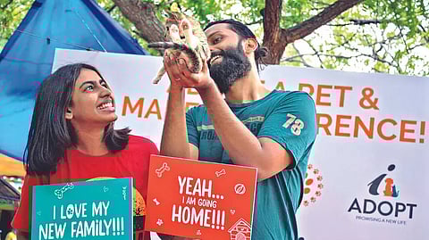 Pet adoption drive will be held at CERC campus