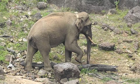 Representative image