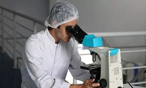 Representative image (ANI)