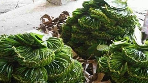 Representative Image (Photo: IANS)