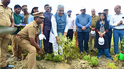 Bhupender Yadav launches 'MISHTI' scheme by planting mangrove plants in Kovalam creek (Screengrab)