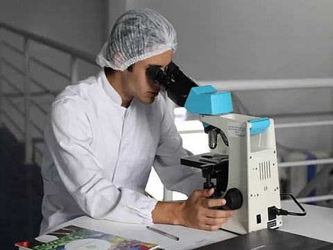 Representative image