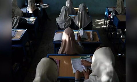 Representative image (Photo: ANI)