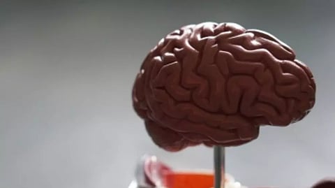 Representative Image&nbsp;