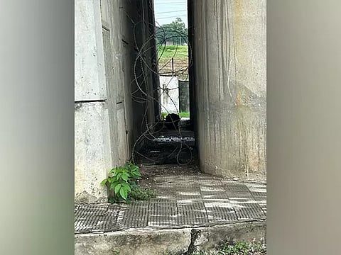 Representative Image