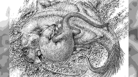 Representative Image