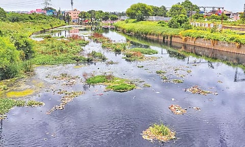 Canal near Basin Bridge