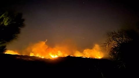 Wildfire 