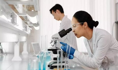 Can probiotics help slow age-related cognitive decline?