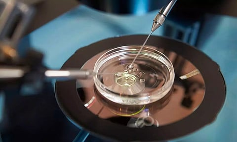 Egg freezing helps in extending women’s reproductive timeline