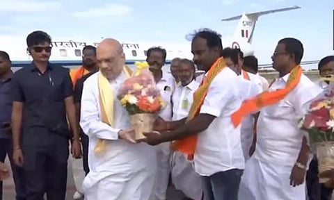 Tamil Nadu BJP president K Annamalai (ANI)