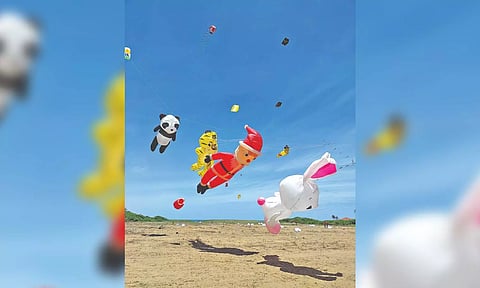 From previous edition of the kite festival