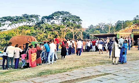 Mudumalai Tiger Reserve