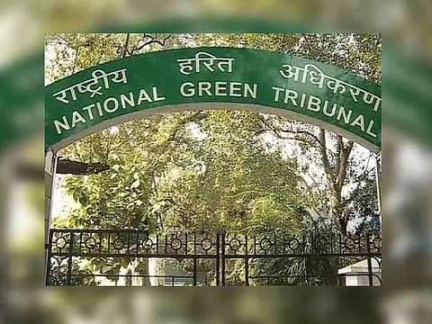 National Green Tribunal (Photo : ANI )