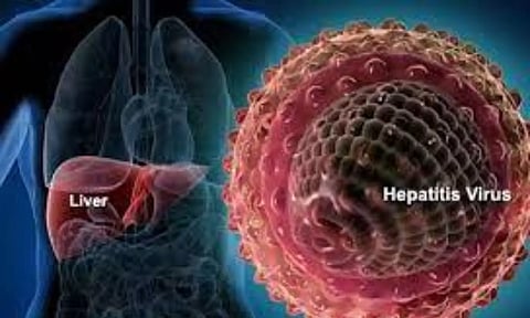 Representative Image (IANS)