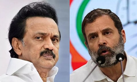 TN CM MK Stalin; Rahul Gandhi (PTI)