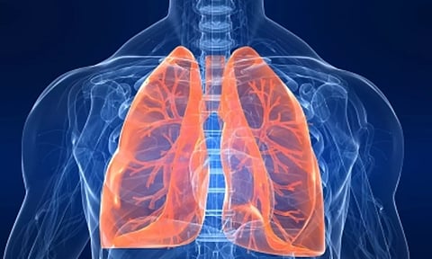 Use of donor lungs drops to 29% in TN due to medical reasons
