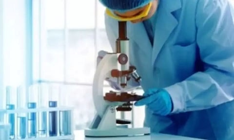 Representative Image