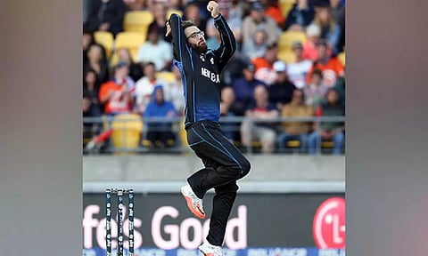 Daniel Vettori (ANI)&nbsp;