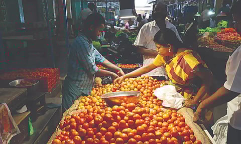 Manufacturers are waiting for the tomato prices to dip below Rs 50 per kg. (Hemanathan M)