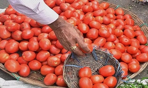 Rains cause tomato prices to spike in Chennai