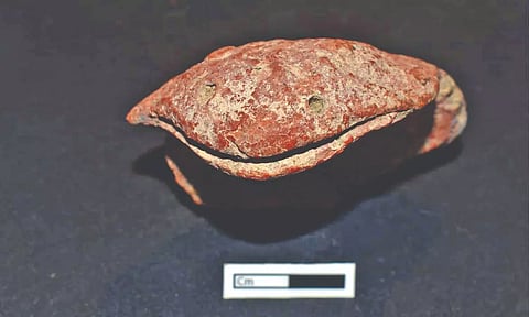 Fragment of snake figurine made of terracotta unearthed at the Keeladi excavation site.