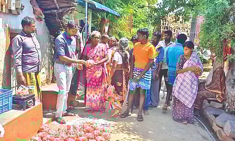 Volunteers distributing tomatoes to Irula families.