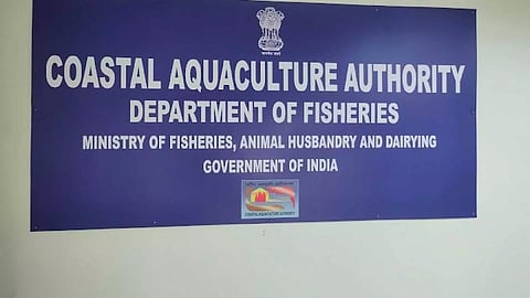 Coastal Aquaculture Authority (CAA)