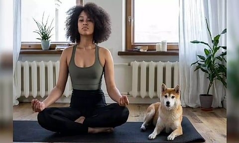 Representative Image (ANI)