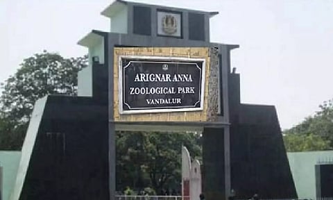 Representative image (File)