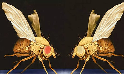 Representative image (File)