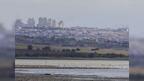 Representative Image (Photo: IANS)