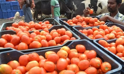 Representative Image