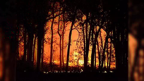 Representative Image