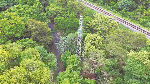 One of the towers and AI cameras
