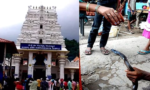 Special prayers in K'taka temple on Nag Panchami for Chandrayaan-3 mission success