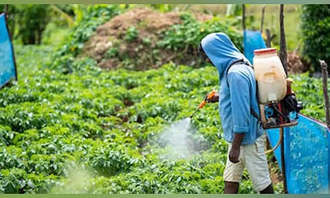 Representative Image (Photo:ANI)