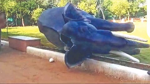 The structure of an elephant in the college campus pushed down by ‘Bahubali’