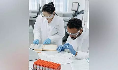 Representative image (ANI)