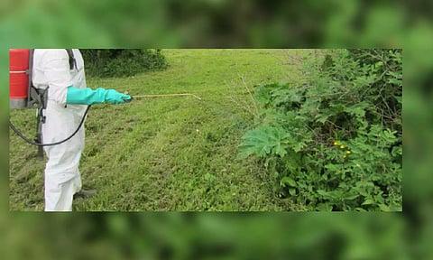 Representative Image (Photo: IANS)