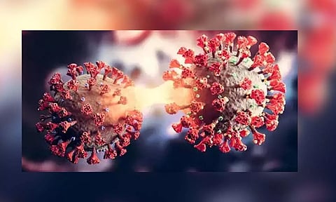 Representative image (Photo: IANS)