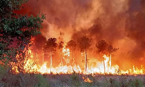 Representative Image