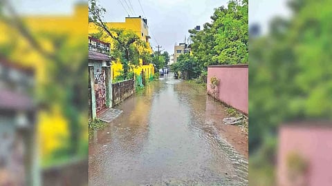 Stagnated water seen on a road in Kanmalai Nagar under Tambaram corporation