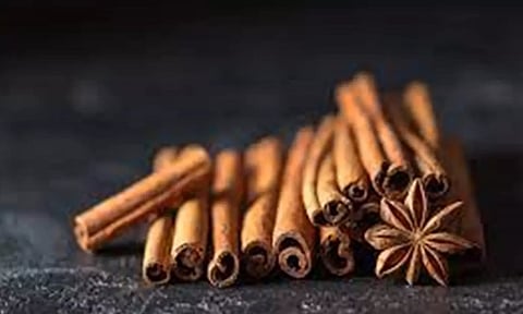 Representative Image (Photo:PTI)